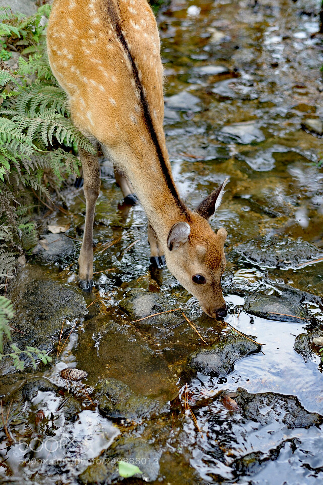 Nikon D600 sample photo. Untitled photography