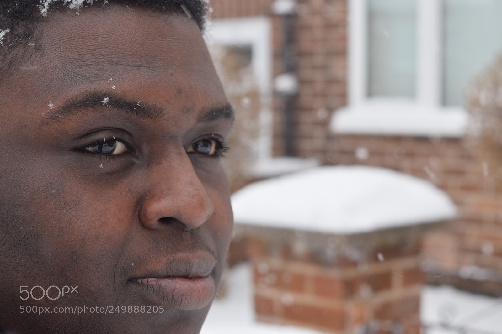 Nikon D5300 sample photo. Snowy day photography