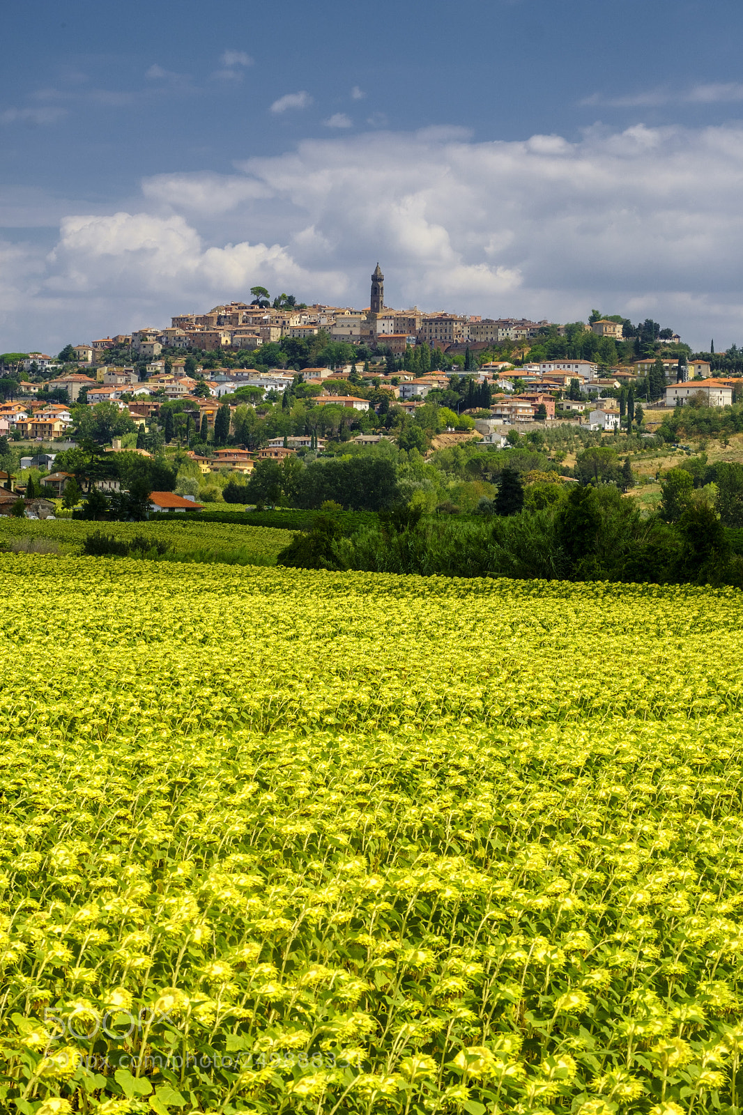 Fujifilm X-T20 sample photo. Summer landscape near volterra photography