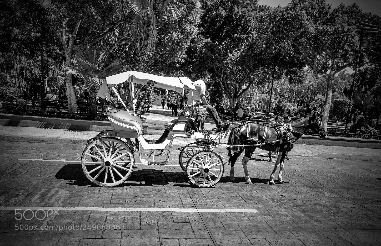 Motorola Moto G (4) sample photo. Calesa photography