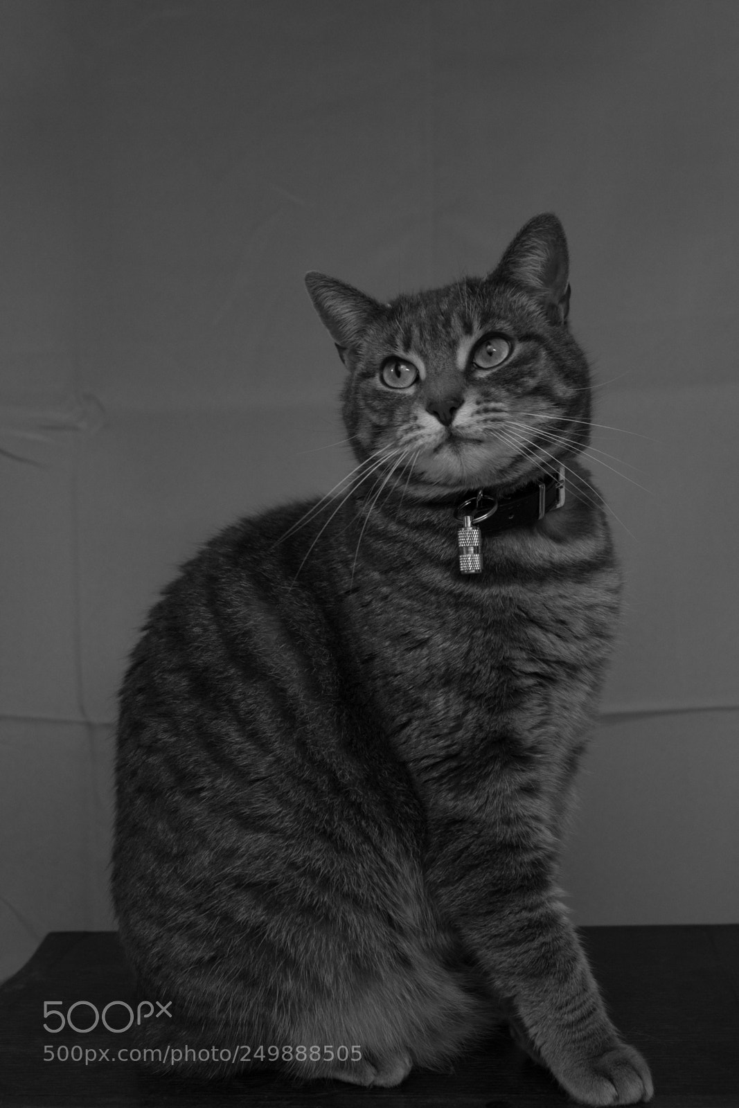 Canon EOS 600D (Rebel EOS T3i / EOS Kiss X5) sample photo. Princesse kara photography