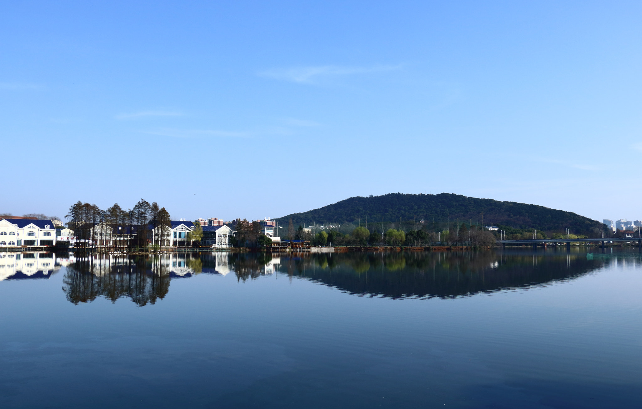 Canon EOS 760D (EOS Rebel T6s / EOS 8000D) sample photo. Img photography