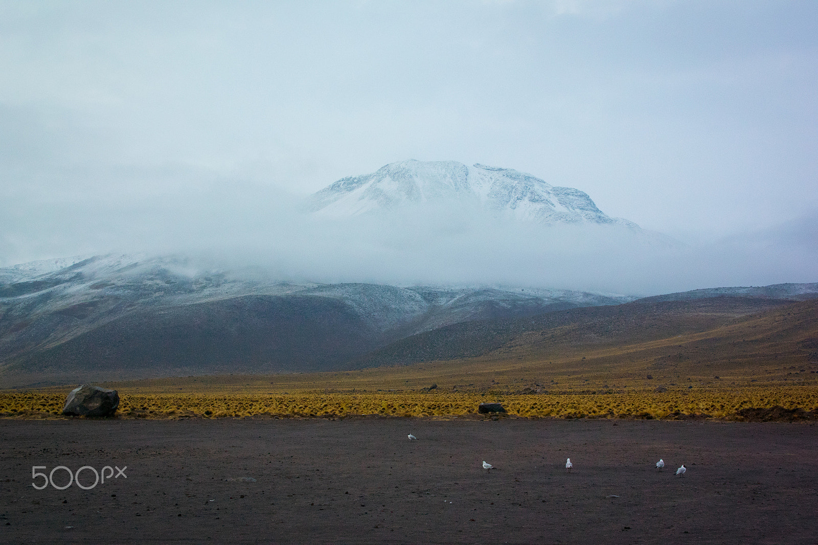 Nikon 1 J4 sample photo. El tatio geysers photography
