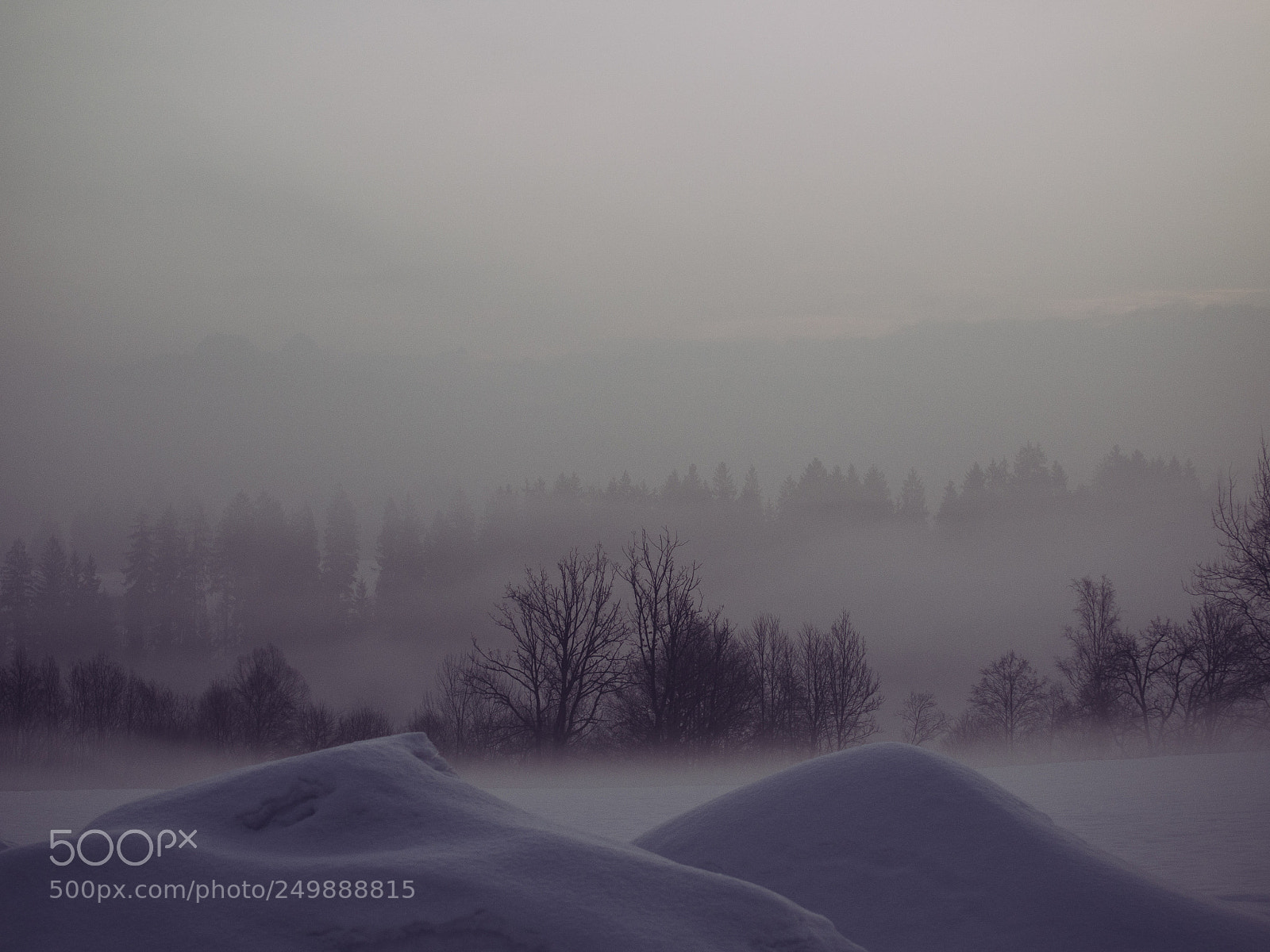 Olympus OM-D E-M5 sample photo. Misty & snowy photography