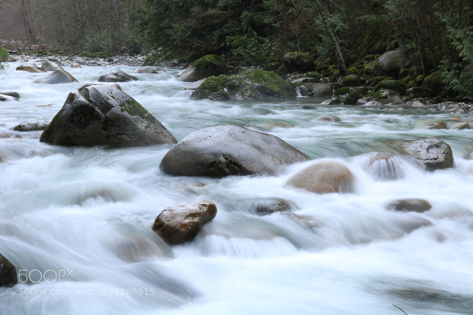 Canon EOS 750D (EOS Rebel T6i / EOS Kiss X8i) sample photo. Lynn canyon. photography