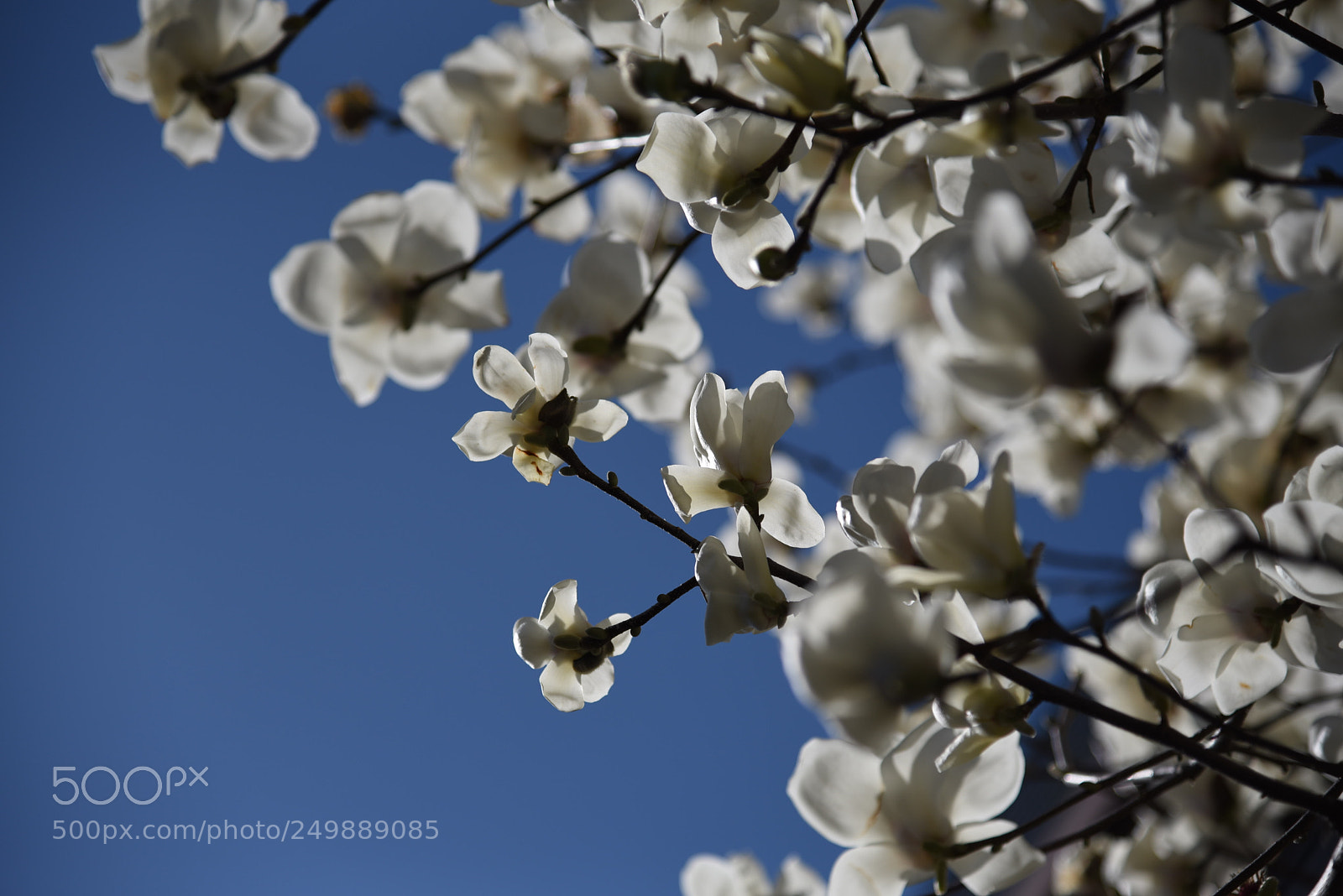Nikon AF-S Nikkor 24-120mm F4G ED VR sample photo. Untitled photography