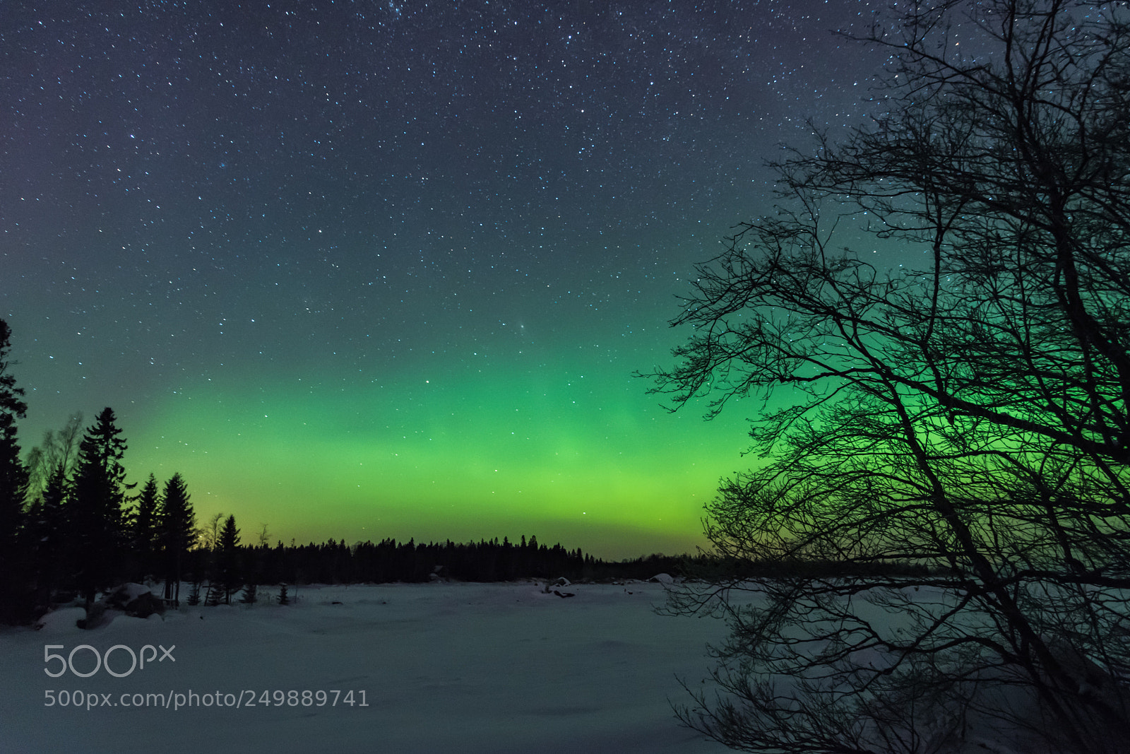 Nikon D5500 sample photo. Northern lights photography