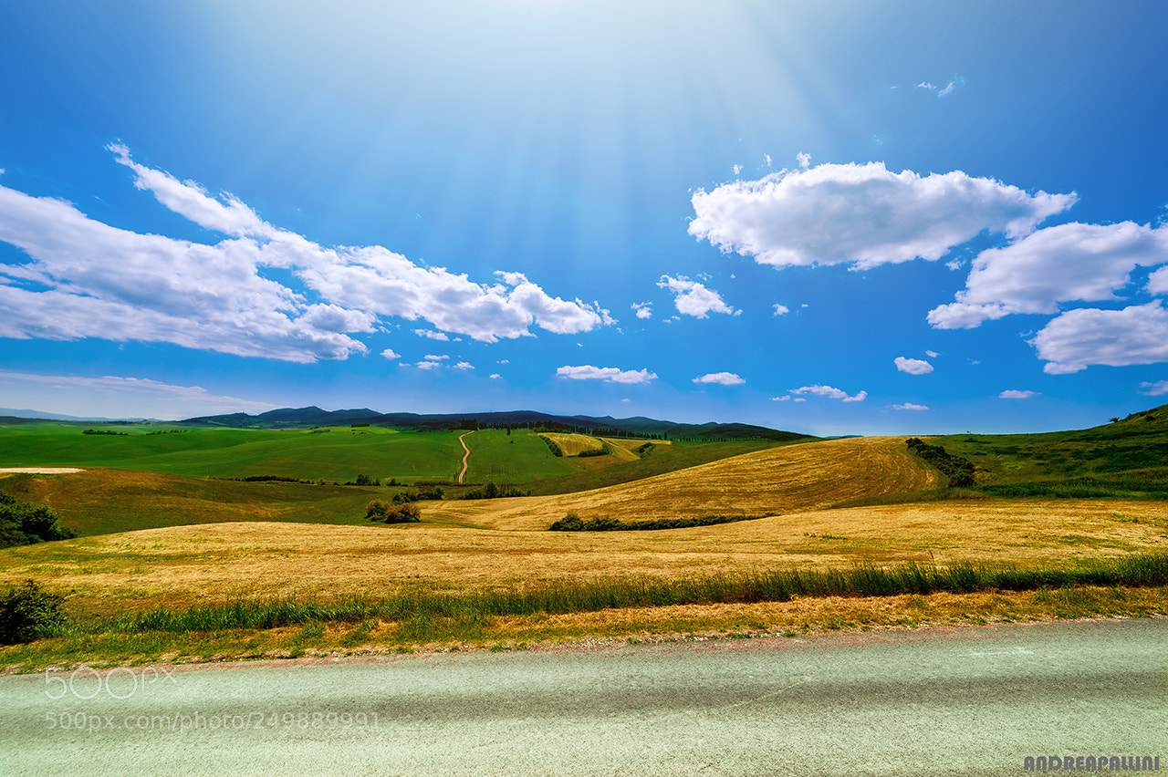 Nikon D3 sample photo. Campagna toscana photography
