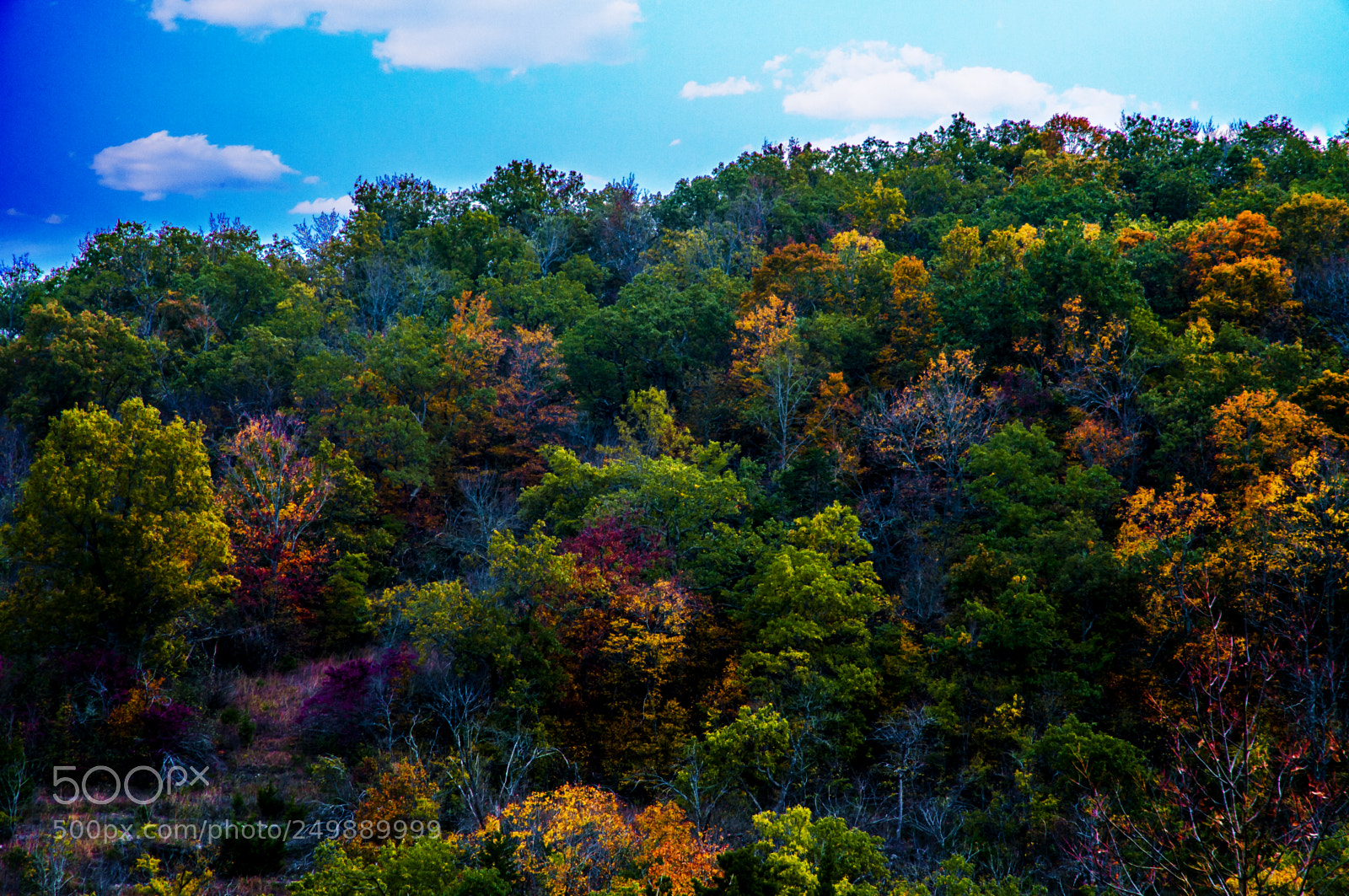 Nikon D300 sample photo. Missouri fall photography