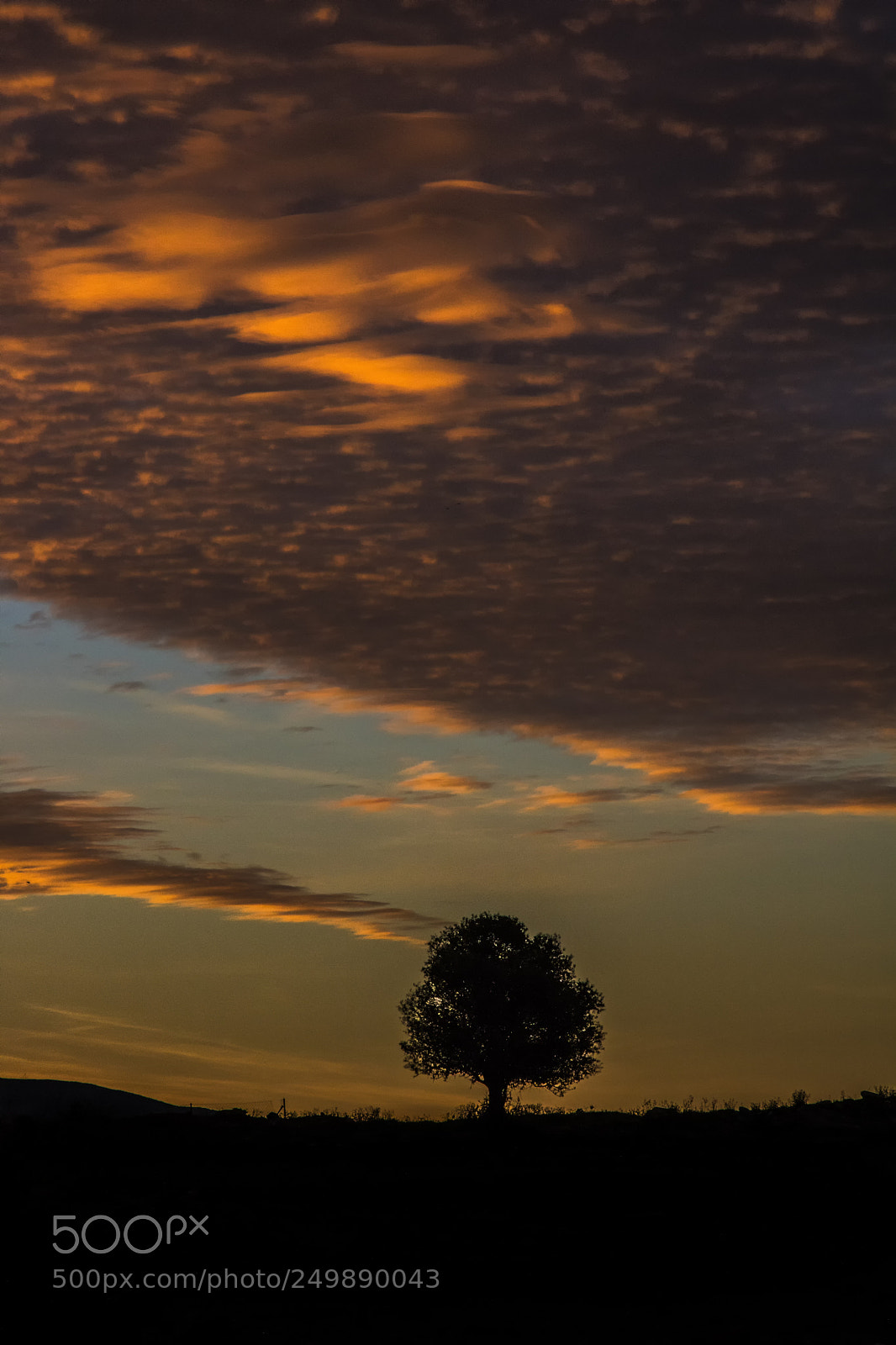 Canon EOS 750D (EOS Rebel T6i / EOS Kiss X8i) sample photo. When thw sun rise photography