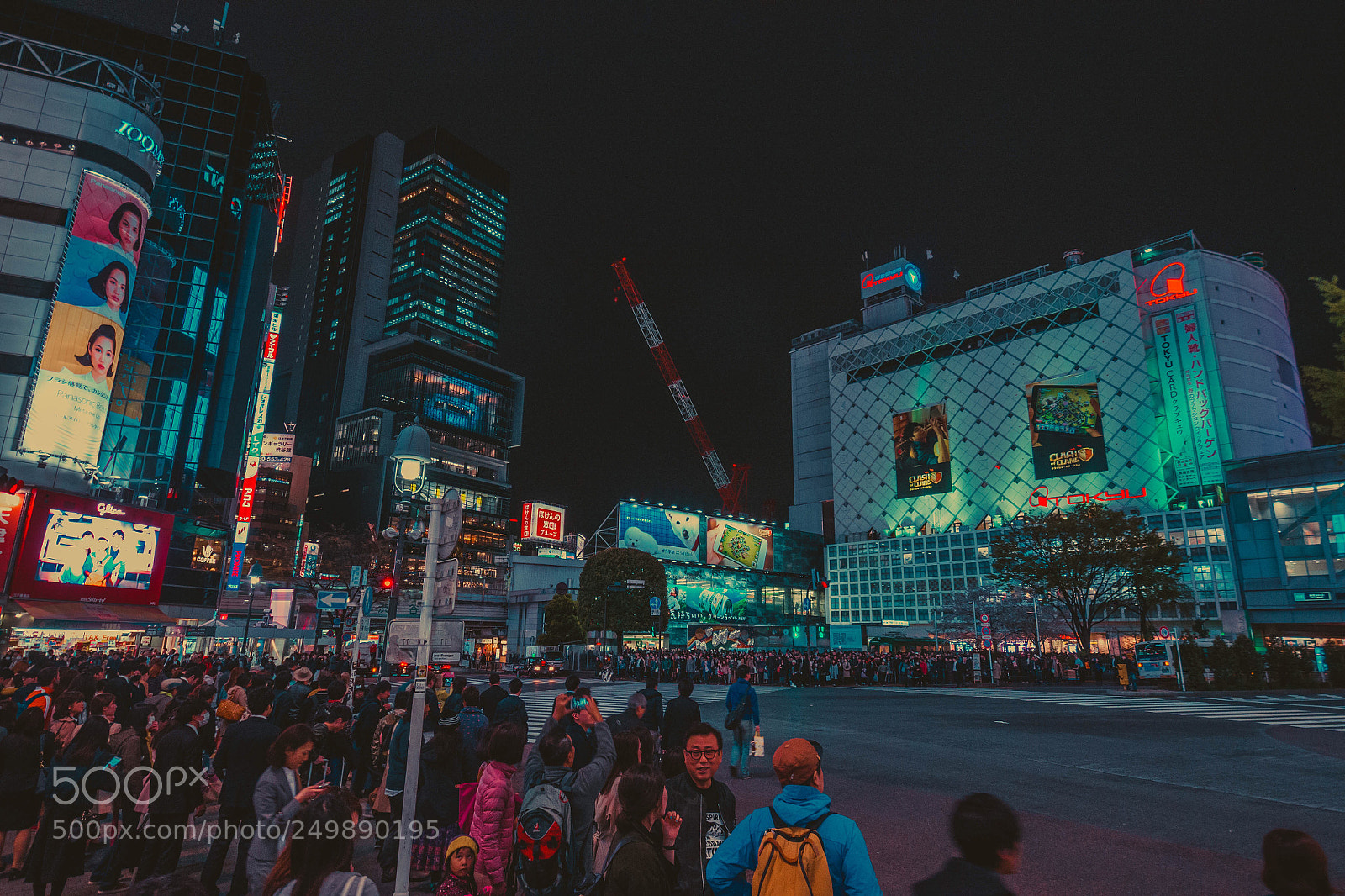 Nikon D7100 sample photo. Untitled photography