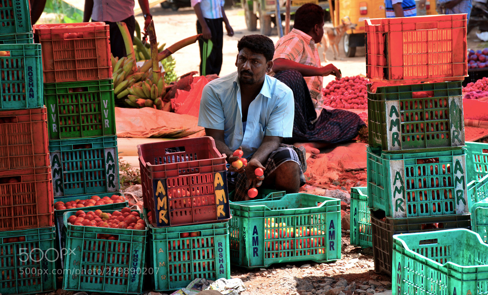 Nikon D7100 sample photo. Counting tomato ..... local photography