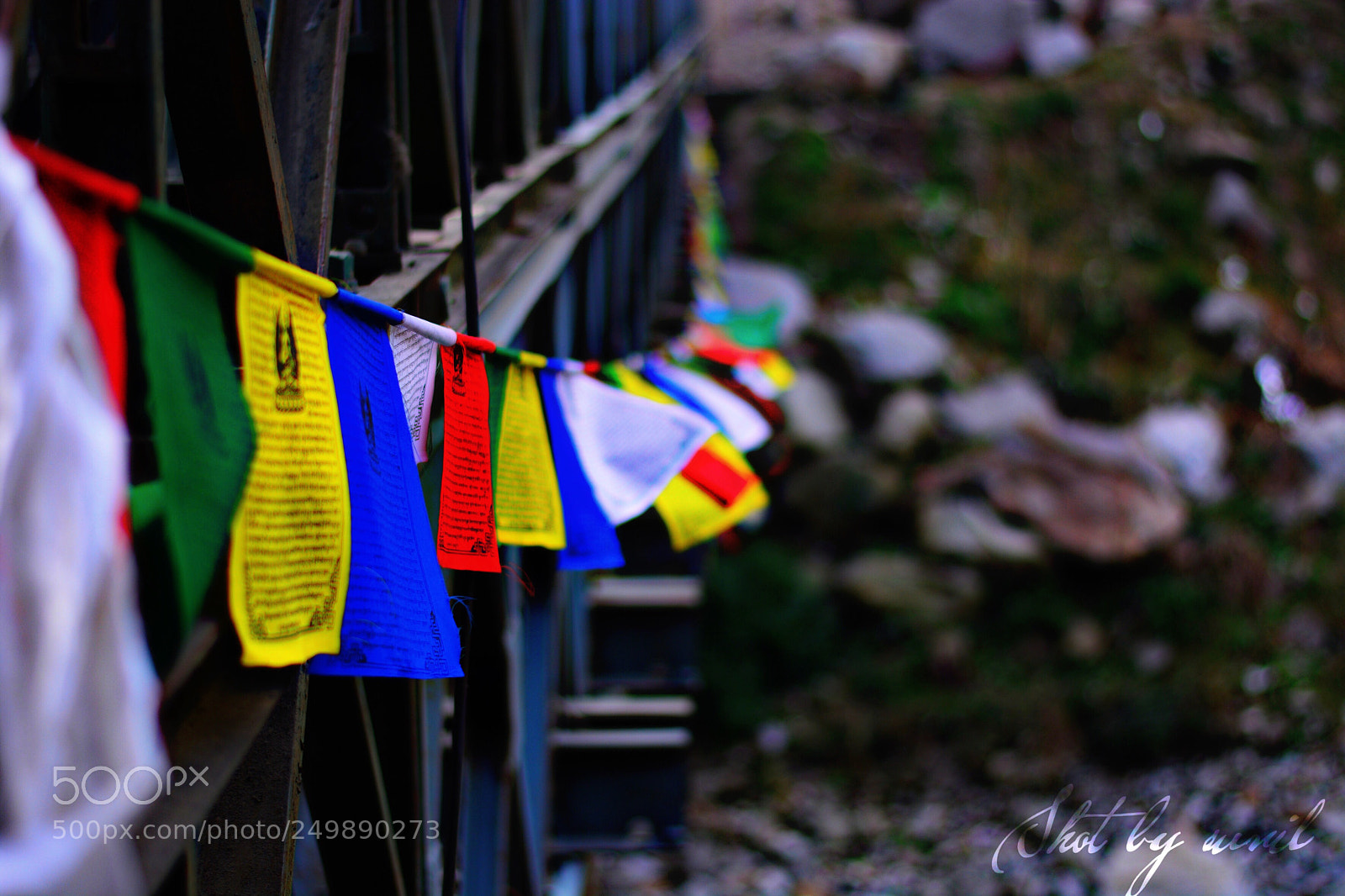 Nikon D5200 sample photo. The flags fly in photography