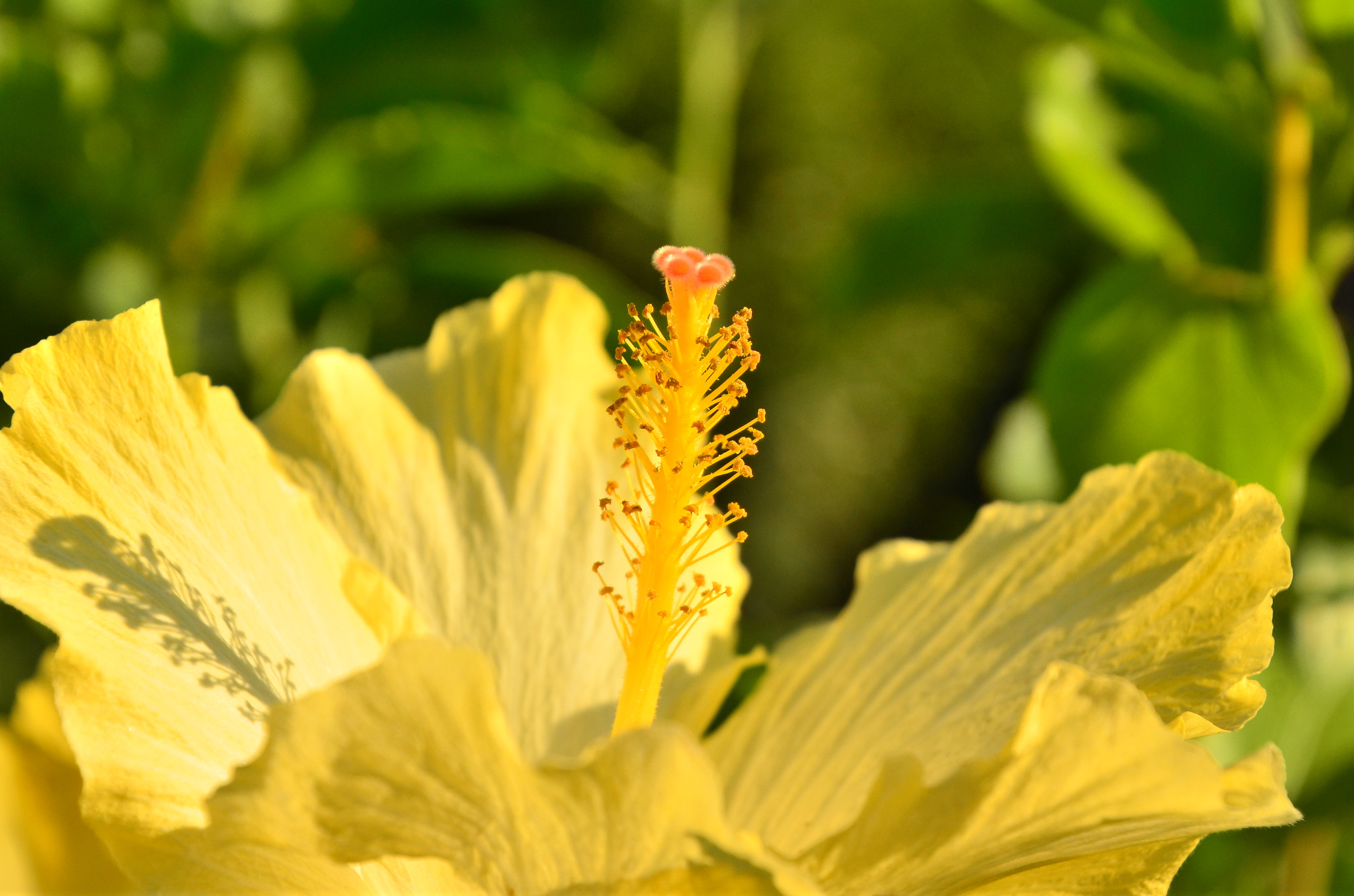 Nikon D7000 sample photo
