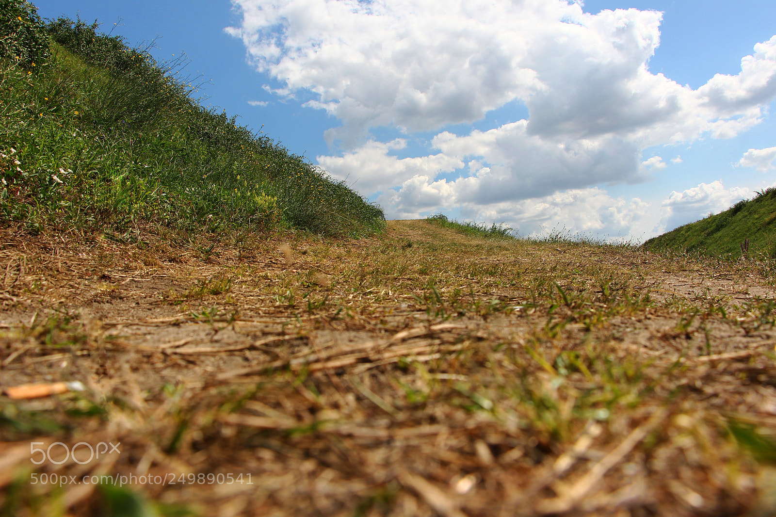 Canon EOS 700D (EOS Rebel T5i / EOS Kiss X7i) sample photo. Way to the future photography