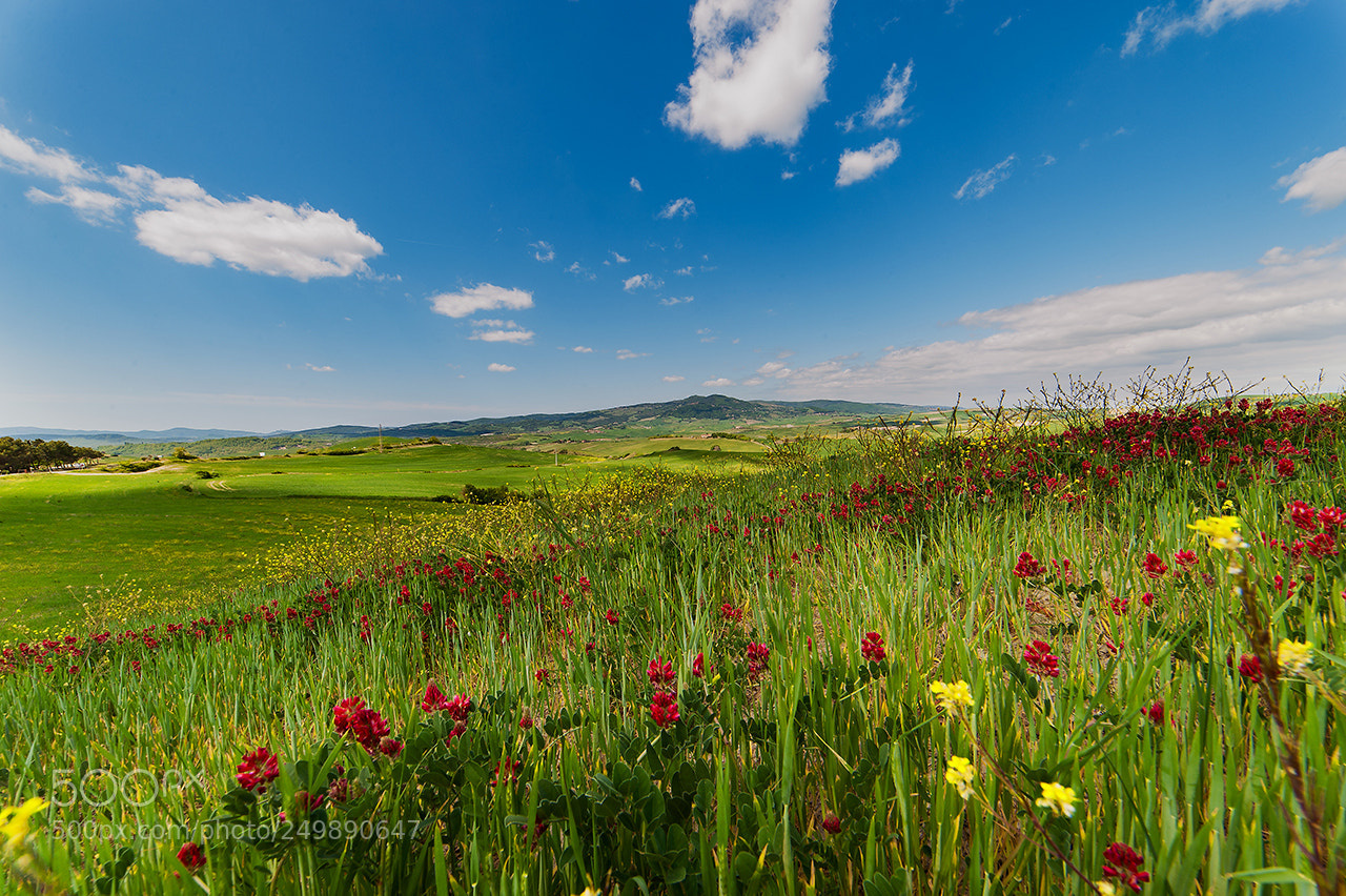 Nikon D3 sample photo. Saline di volterra photography
