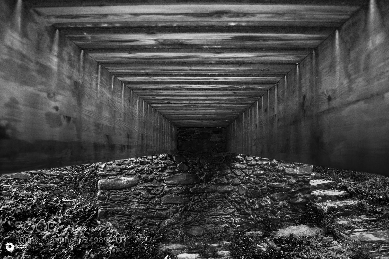 Nikon D3200 sample photo. Bridge photography