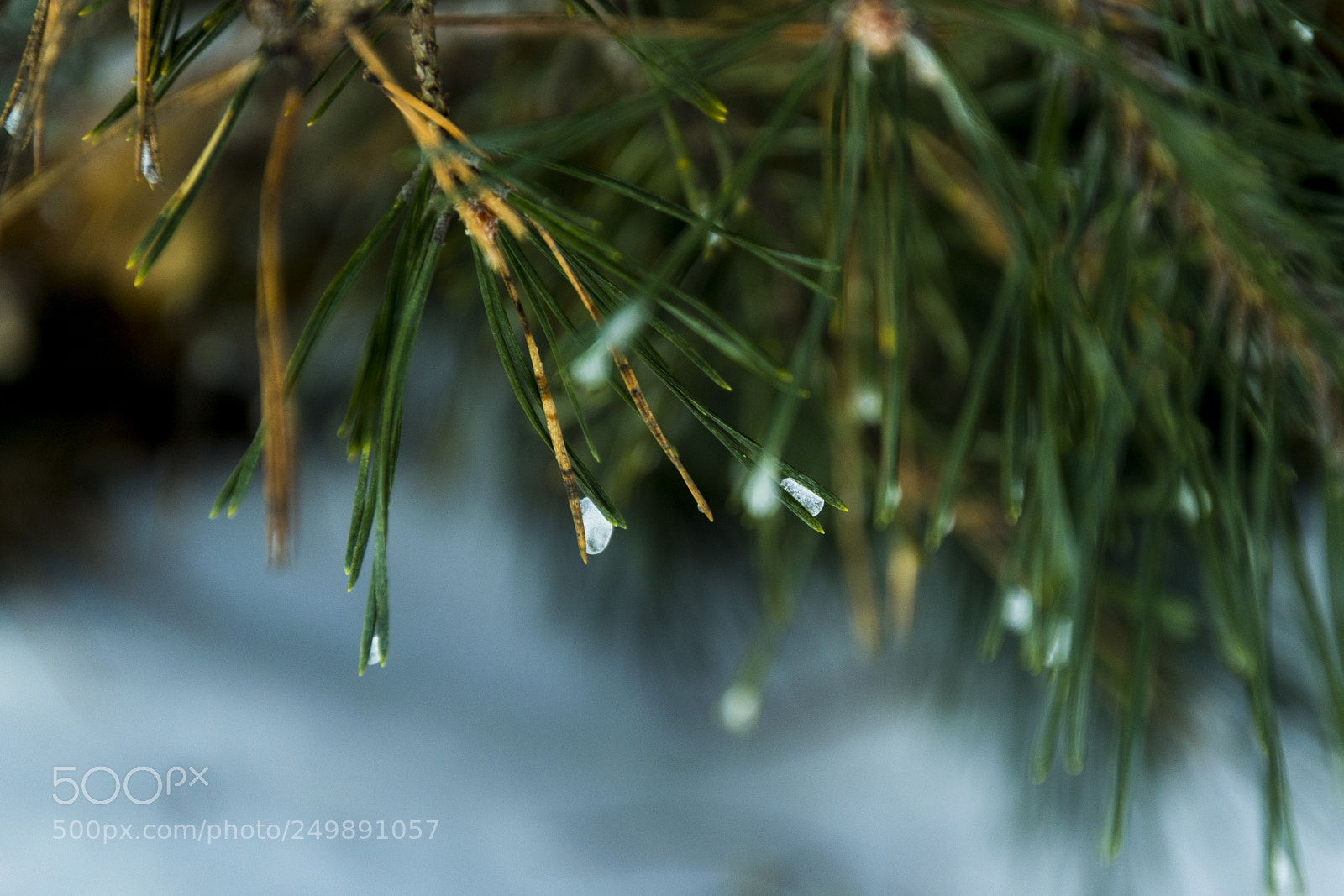 Nikon D3100 sample photo. Untitled photography