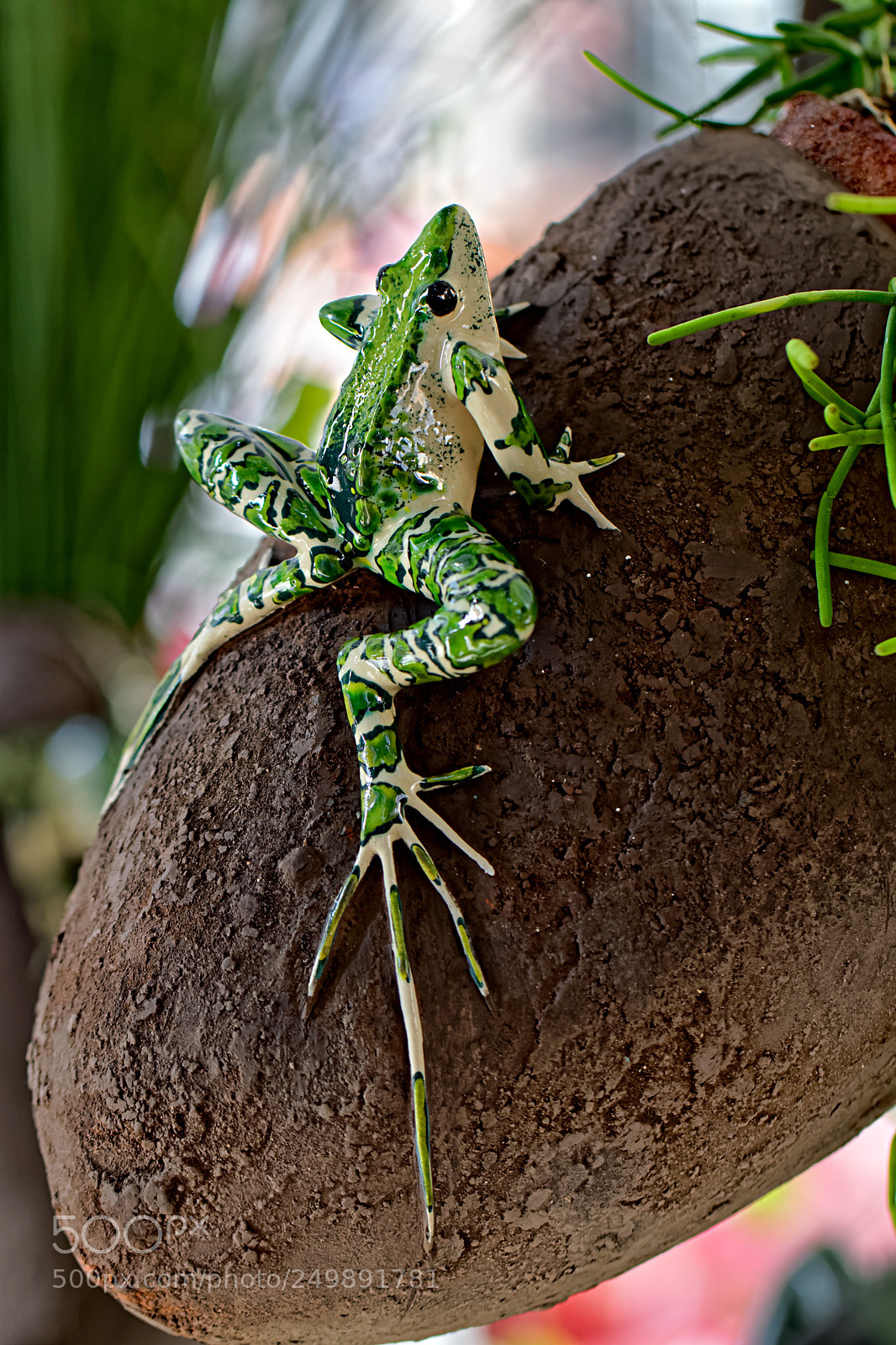 Canon EOS 7D Mark II sample photo. Grenouille photography