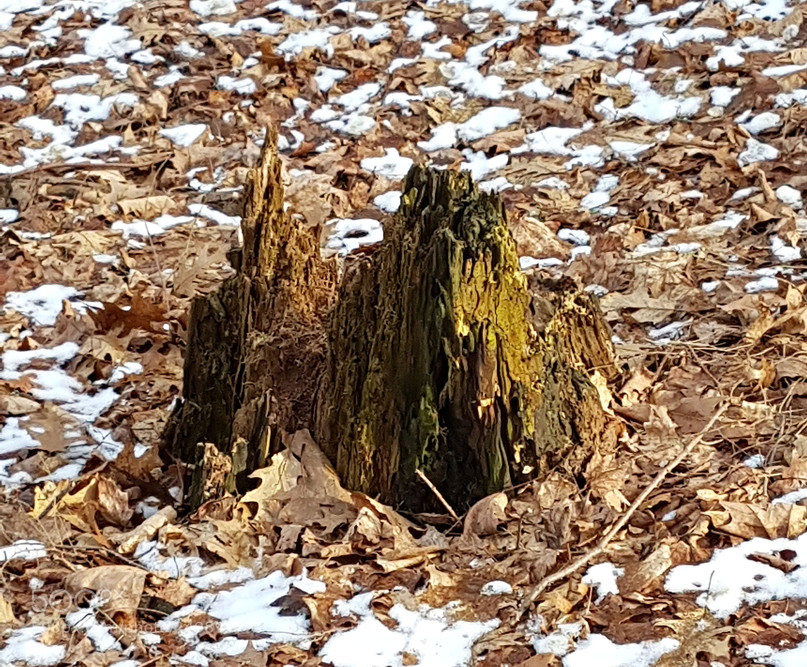 Samsung Galaxy S7 sample photo. Ravine 3 photography