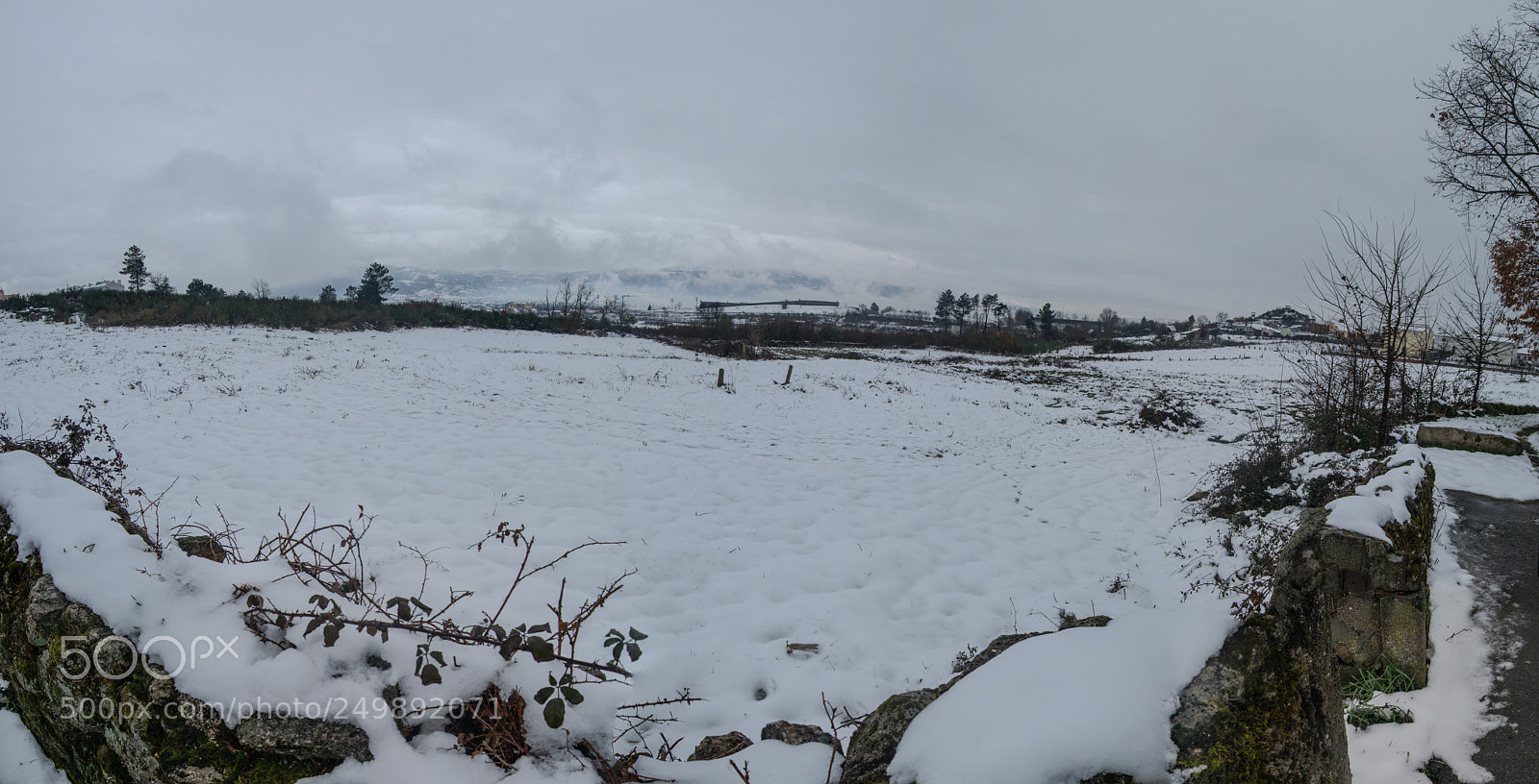 Nikon D3300 sample photo. White space photography