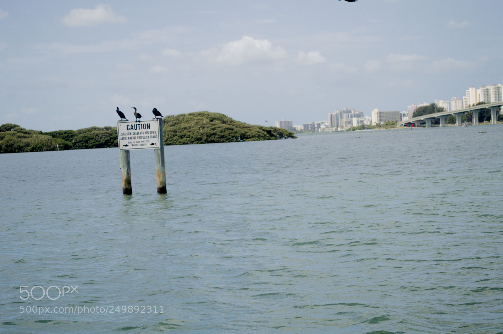 Nikon D3200 sample photo. Gulf of mexico photography