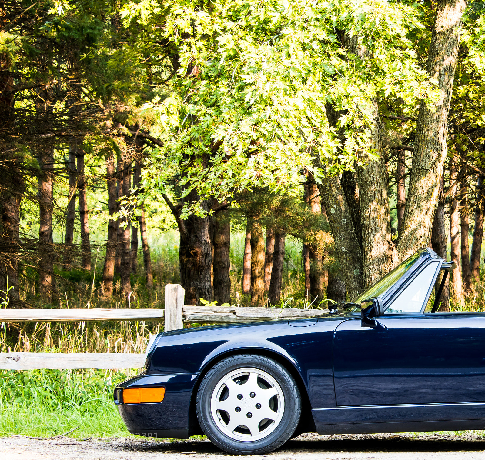 Nikon D500 sample photo. Porsche targe front photography