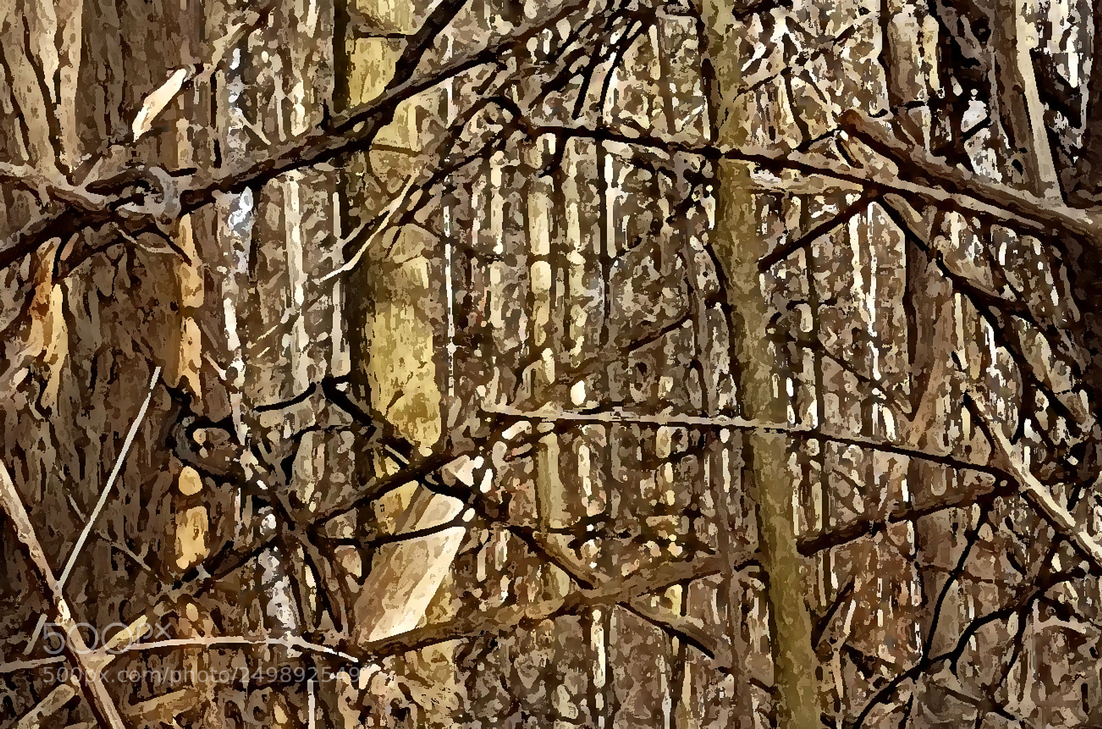 Samsung Galaxy S7 sample photo. Ravine 5 photography