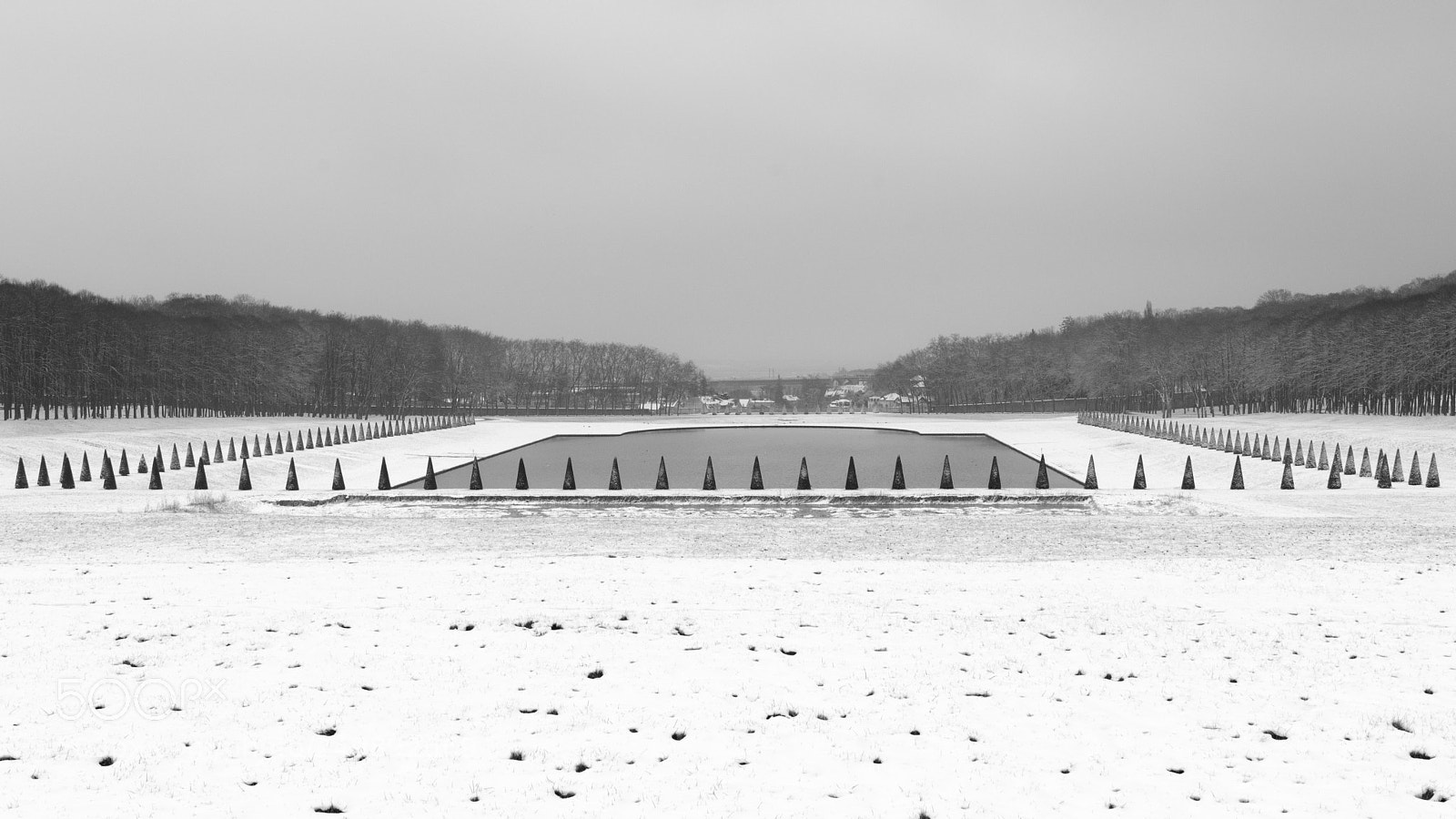 Nikon D500 sample photo. Ifs 2 marly photography