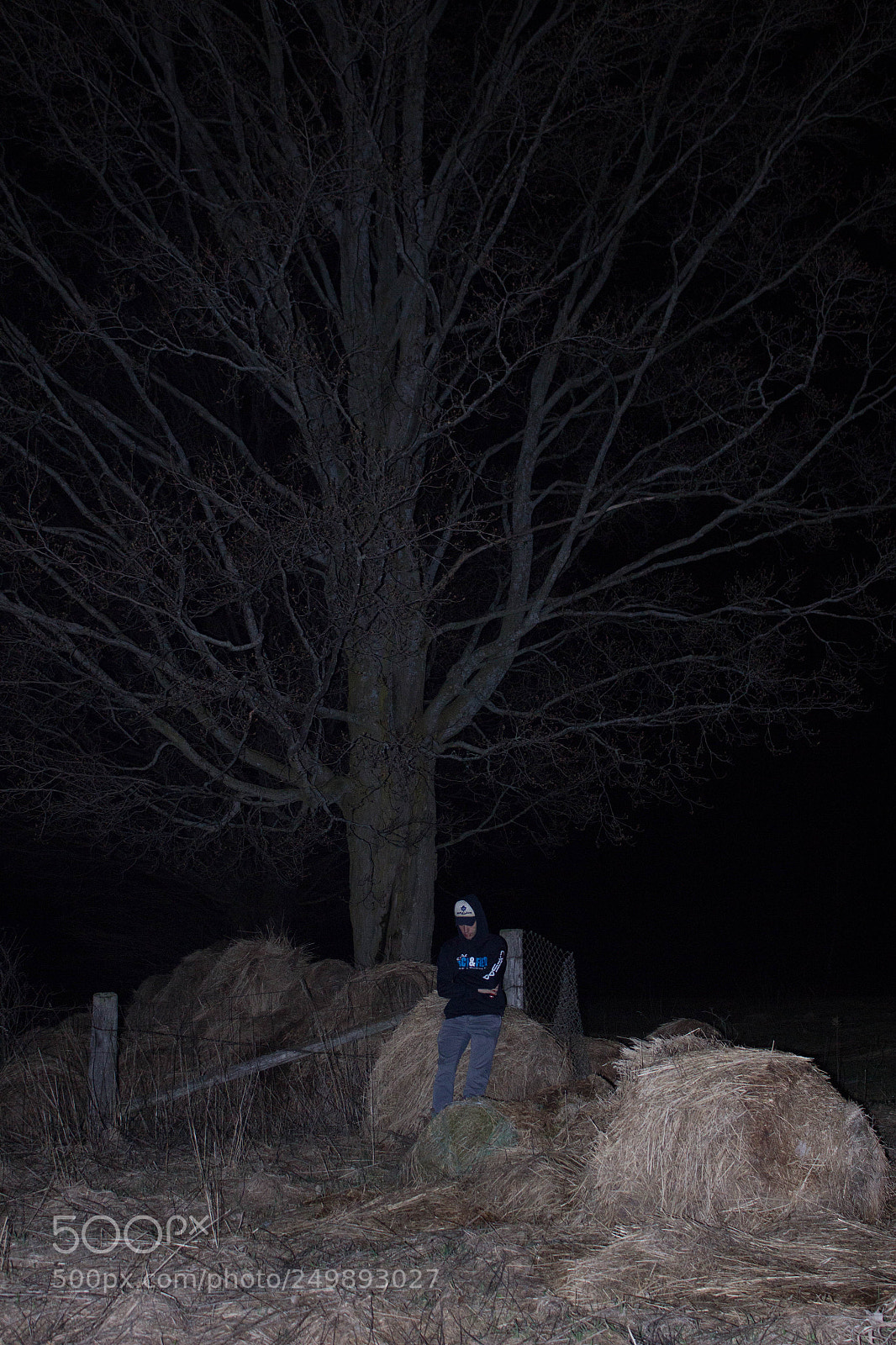 Canon EOS 600D (Rebel EOS T3i / EOS Kiss X5) sample photo. Lone tree photography