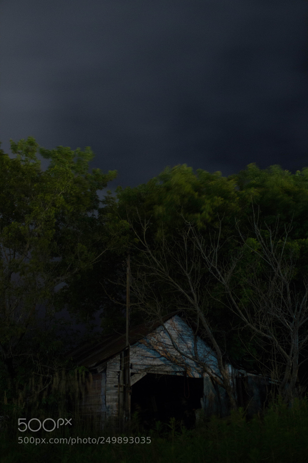 Canon EOS 600D (Rebel EOS T3i / EOS Kiss X5) sample photo. The shed photography