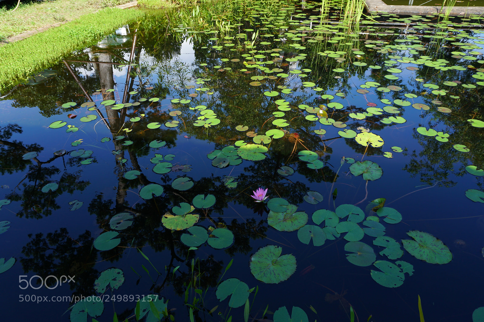 Sony a6300 sample photo. Dsc photography