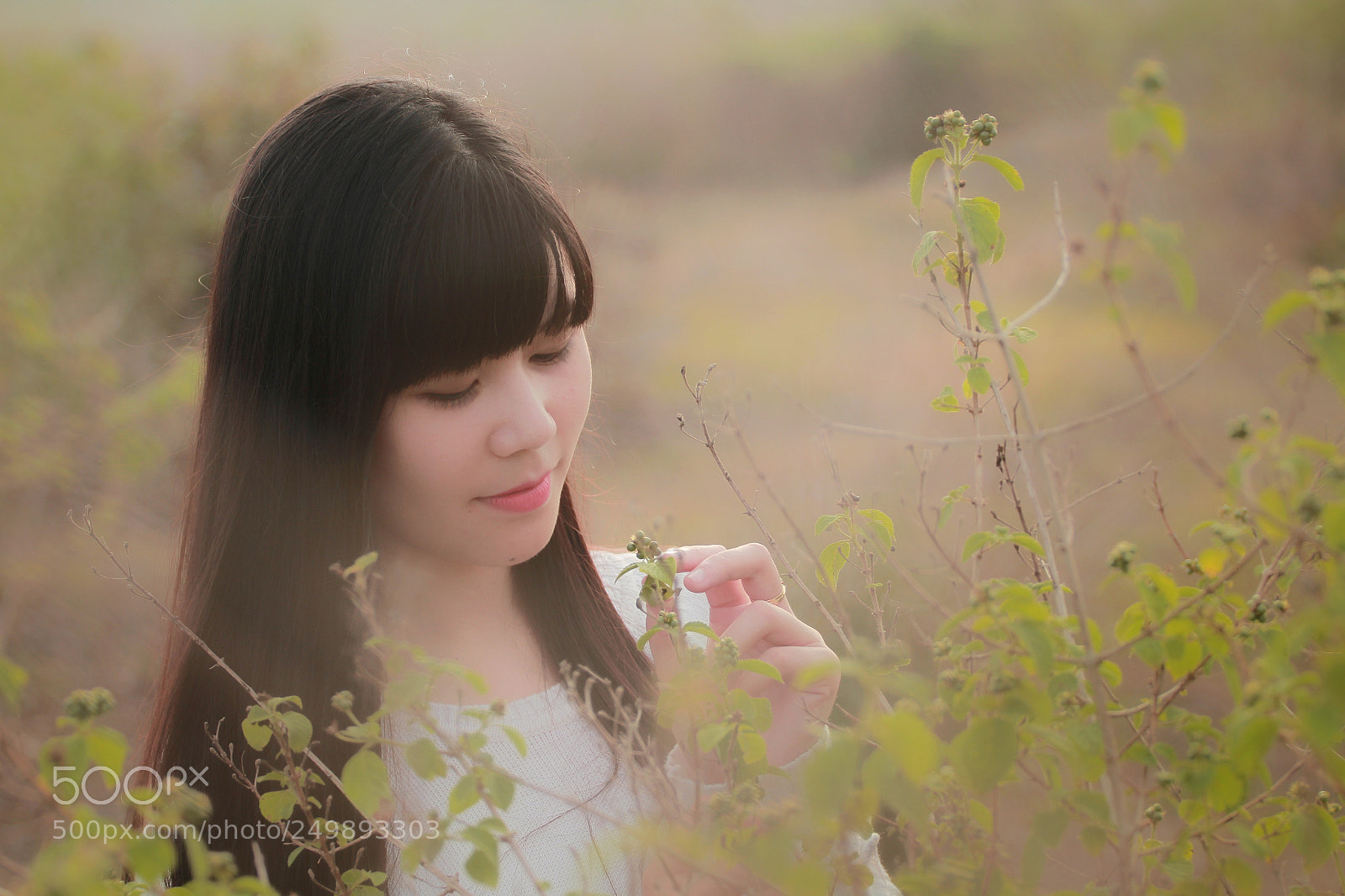 Canon EOS 7D sample photo. Heaven photography