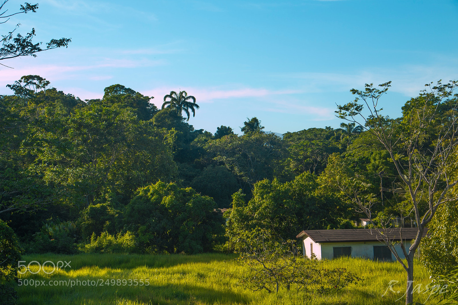 Canon EOS 70D sample photo. Eso miranda. venezuela. photography