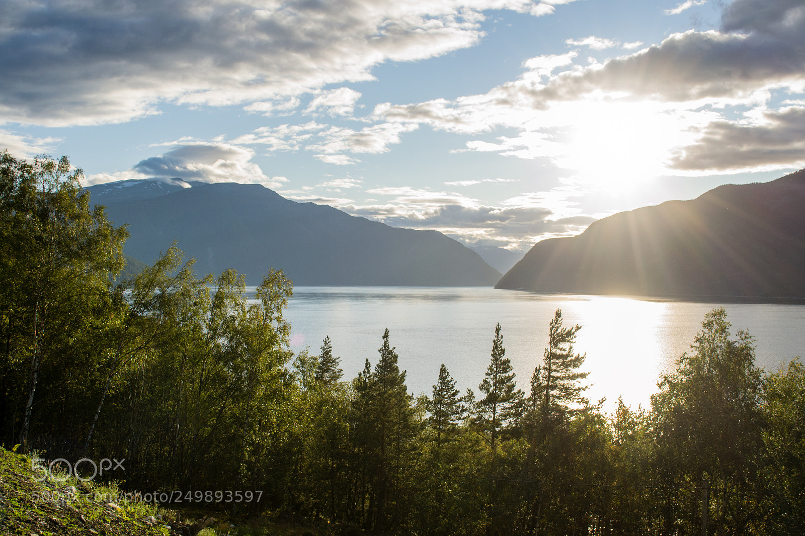 Nikon D3100 sample photo. Sognefjord photography