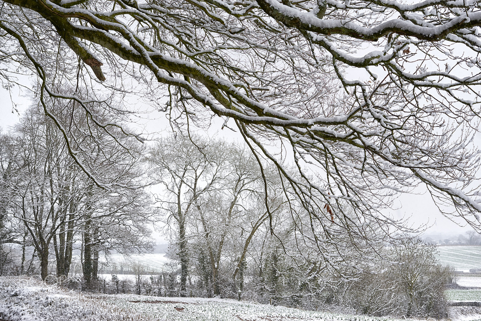 Nikon D800 sample photo. Cold fingers photography