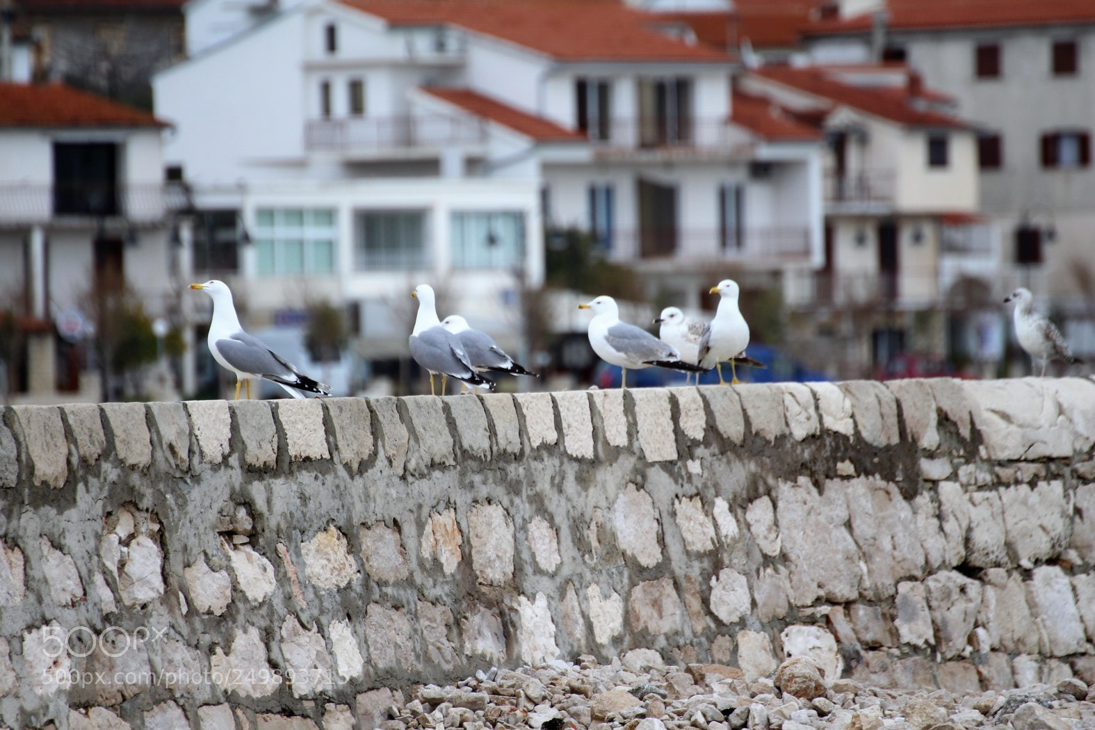 Canon EOS 700D (EOS Rebel T5i / EOS Kiss X7i) sample photo. X photography