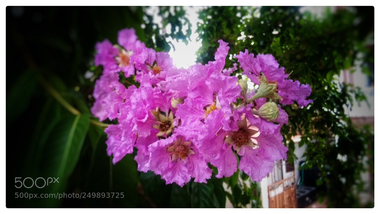 Motorola Moto G (2nd Gen) sample photo. Untitled photography