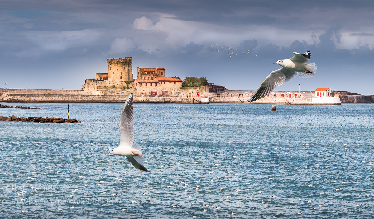Nikon D5500 sample photo. Le fort de socoa photography