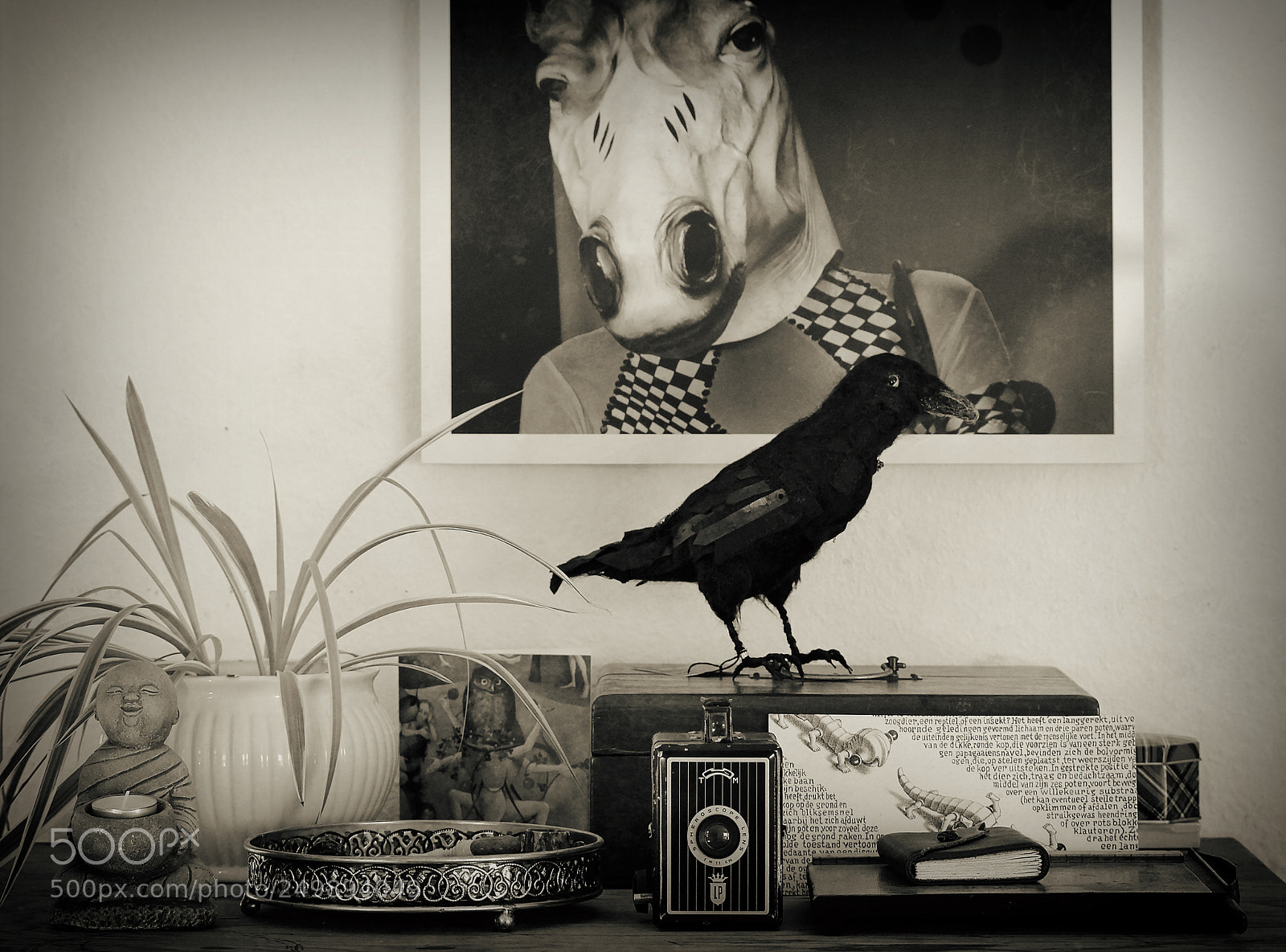 Canon EOS 550D (EOS Rebel T2i / EOS Kiss X4) sample photo. Still life with horse photography