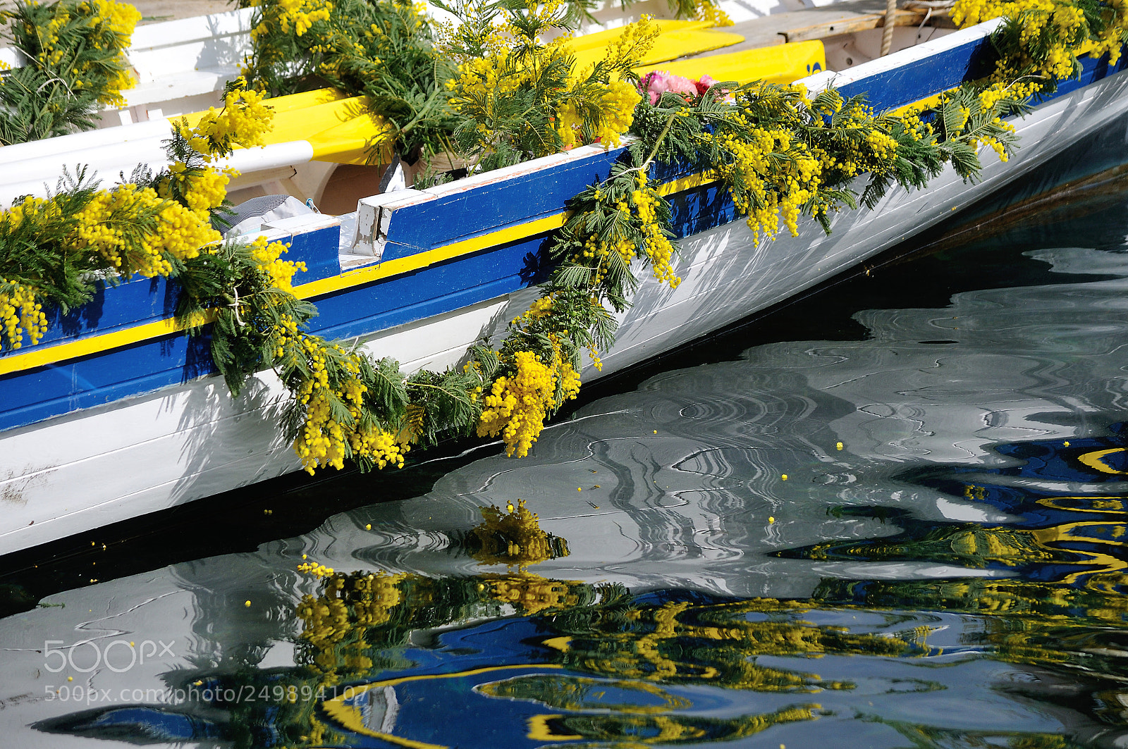 Nikon D300S sample photo. Flowers on a boat photography