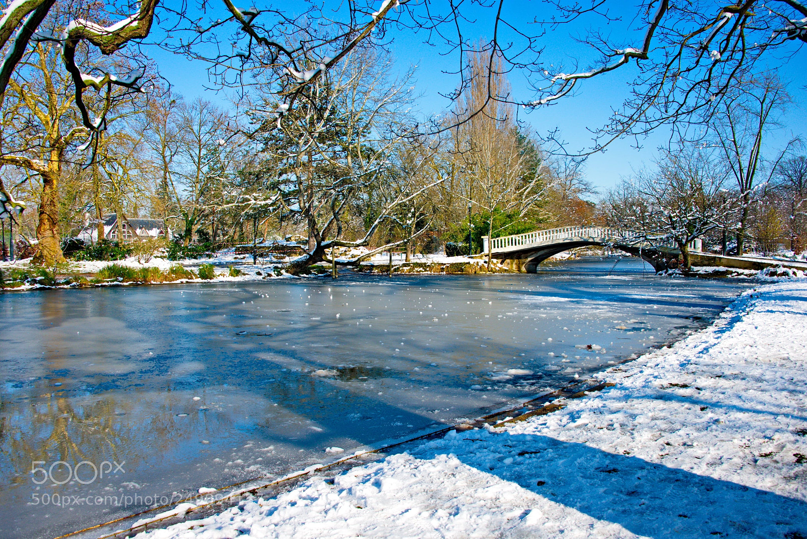 Nikon D800 sample photo. Winter near paris photography