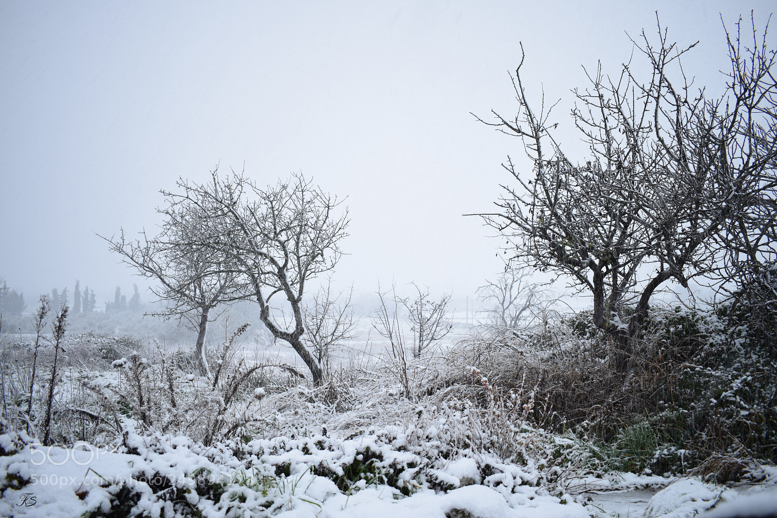 Nikon D3300 sample photo. Cold photography