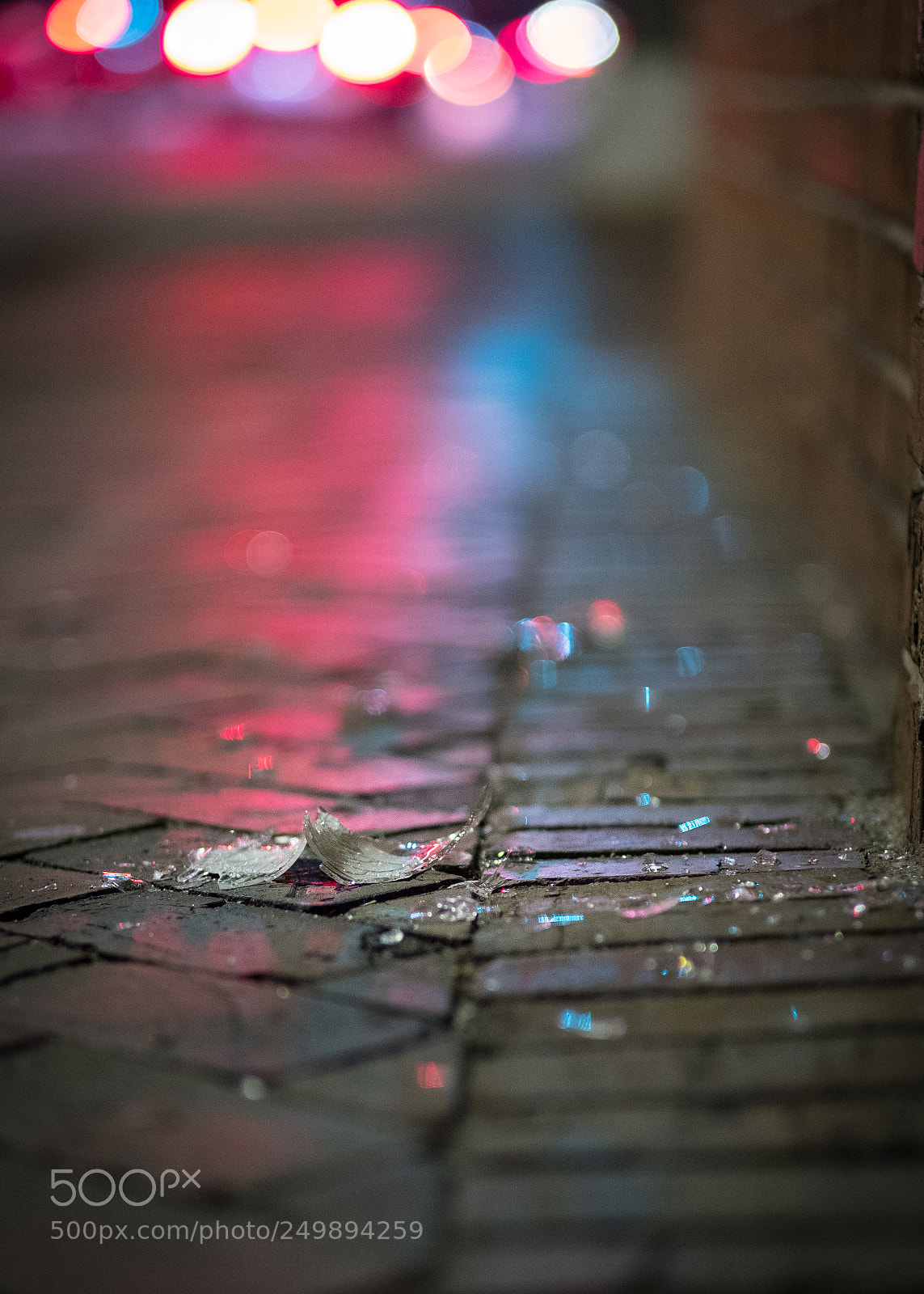 Fujifilm X-T2 sample photo. Broken and beautiful photography