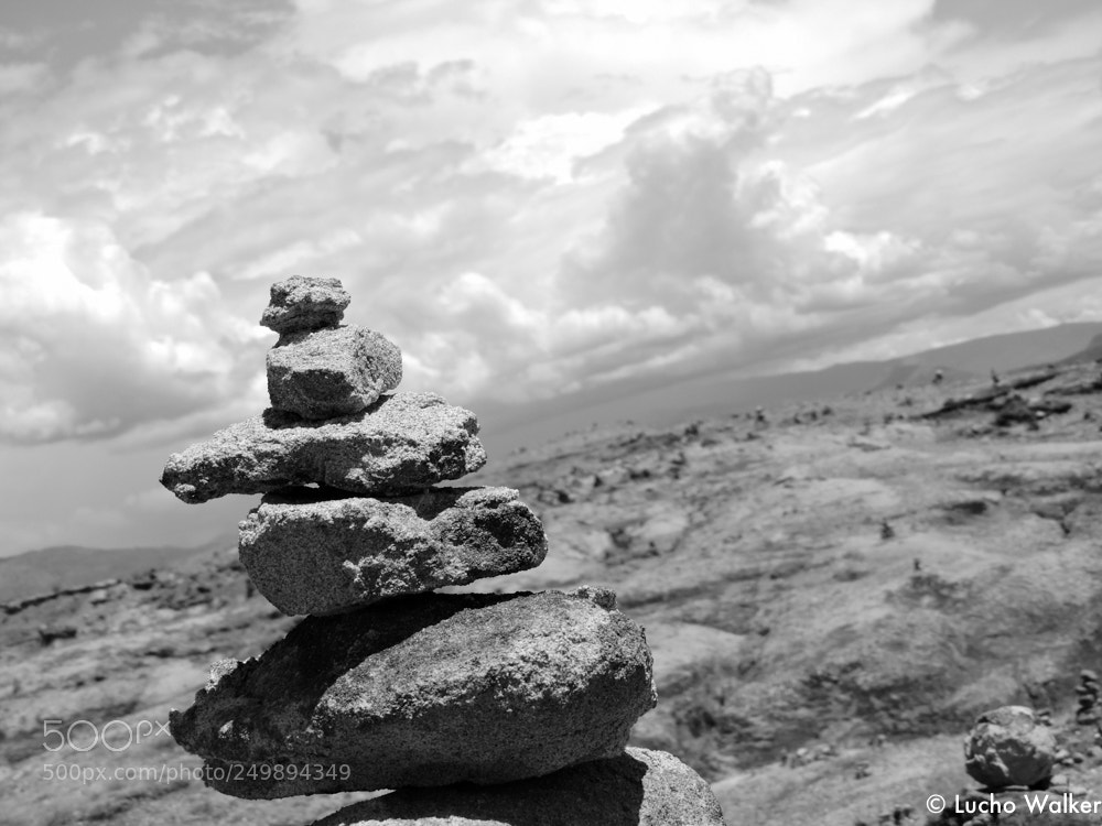 Nikon Coolpix P600 sample photo. Totem photography
