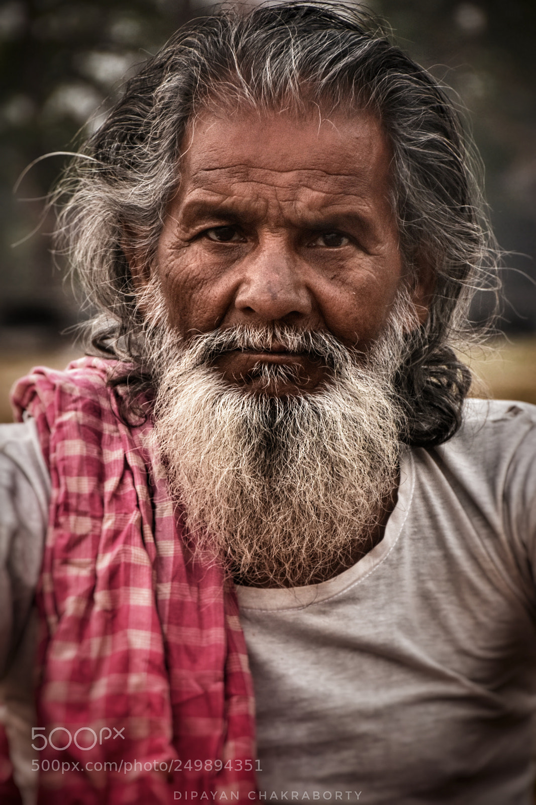 Nikon D5500 sample photo. Untitled photography