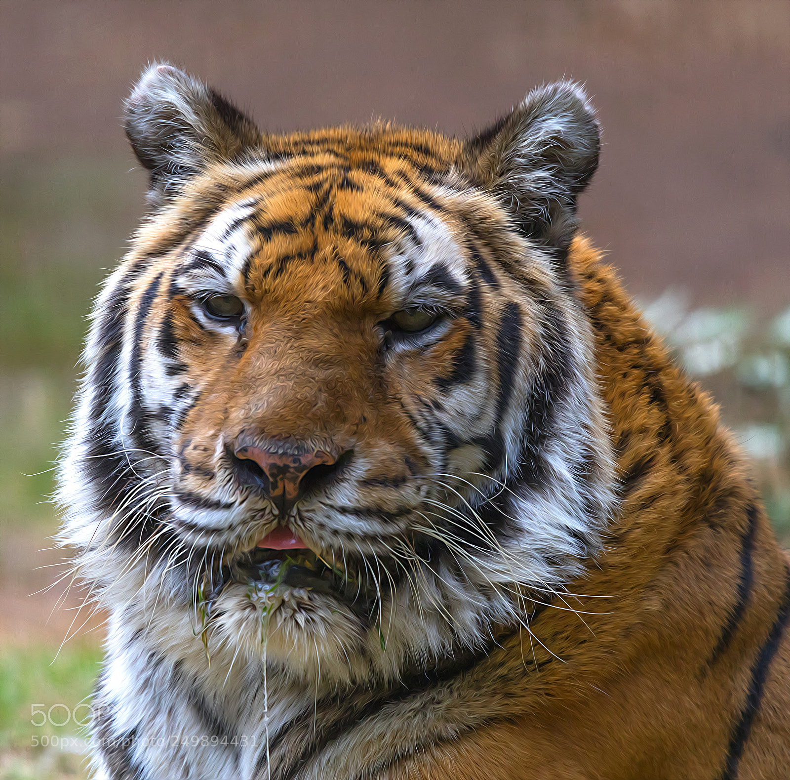 Canon EOS 5D Mark IV sample photo. Ia photography