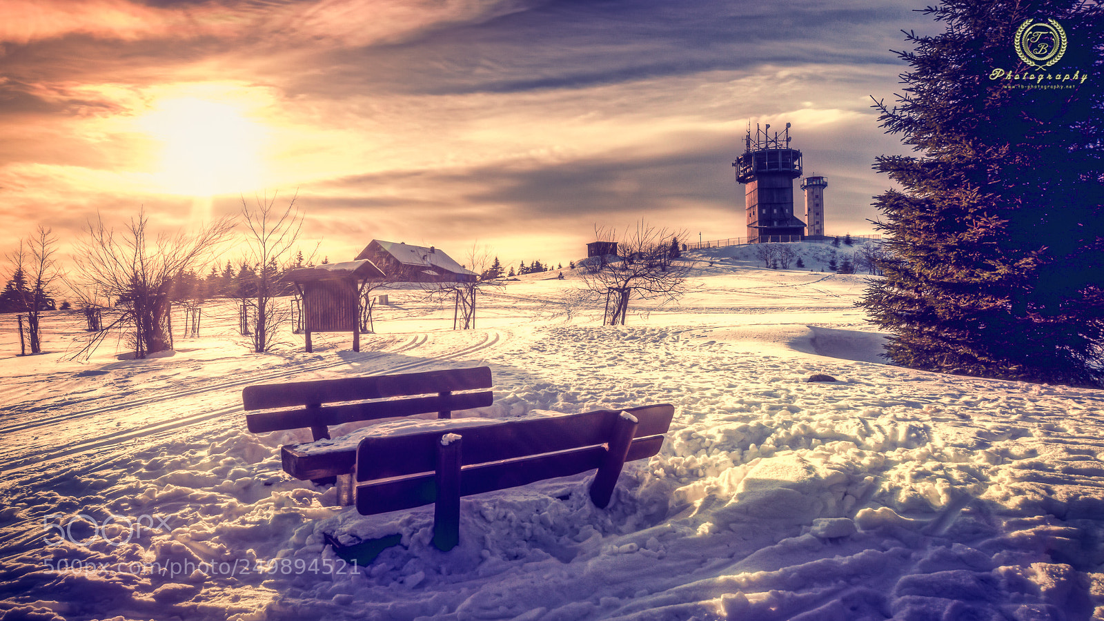 Nikon D800 sample photo. Schneekopf im sonnenuntergang photography