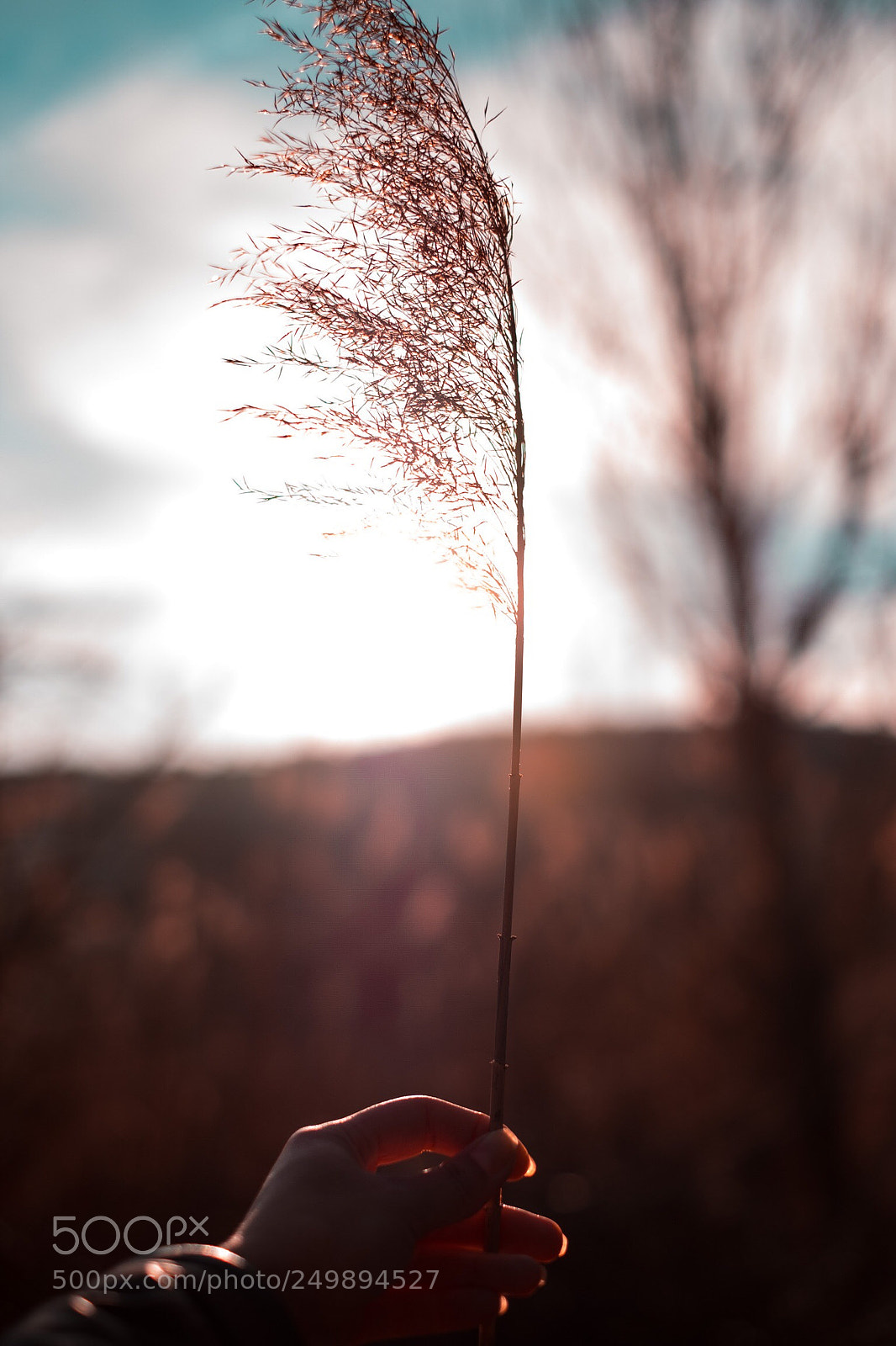 Fujifilm X-T20 sample photo. Untitled photography