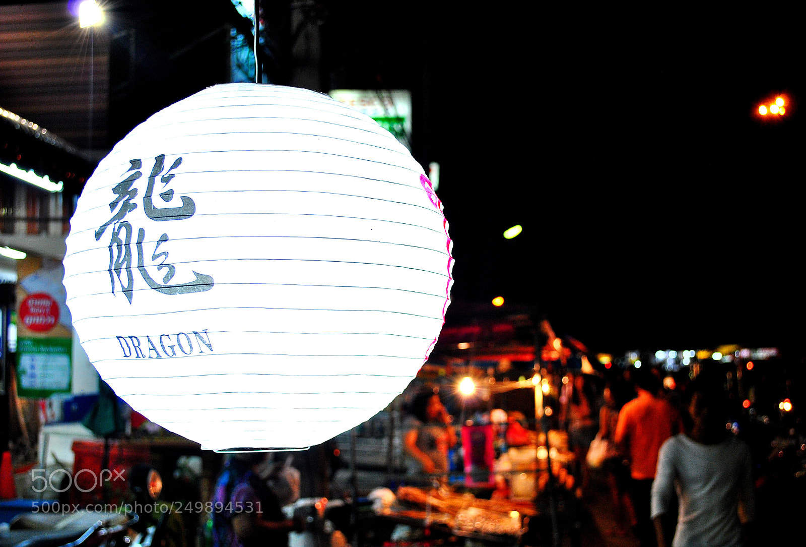 Nikon D3000 sample photo. Dragon photography